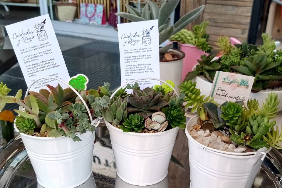 Abancay Vivero Boutique