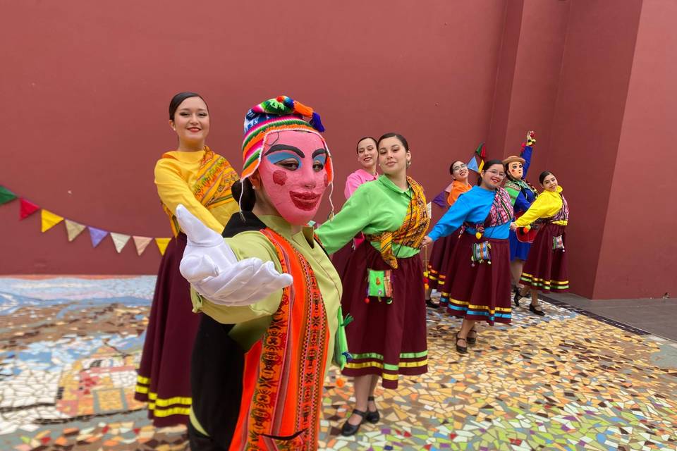 Agrupación Folclórica Danzas Chile, Animación