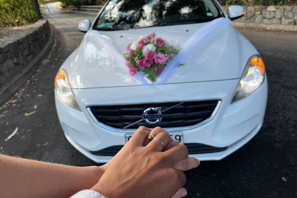 Aguiar & Urzúa, Autos