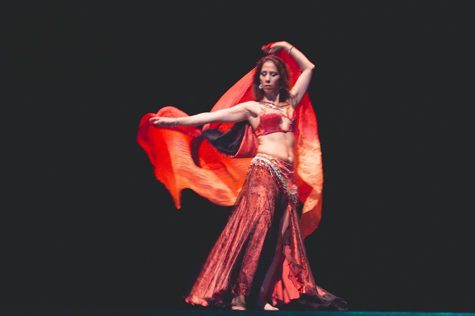 Al-Nur - Danza Árabe, Animación