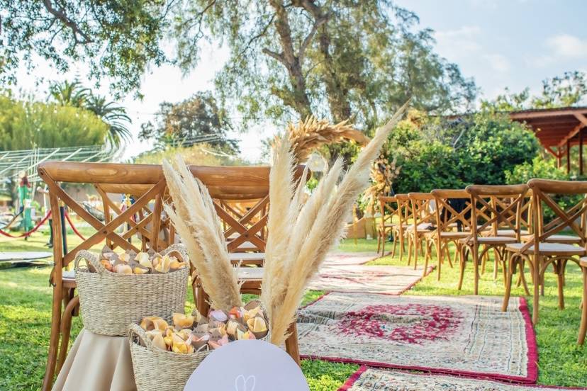Alexa Wedding, Recuerdos