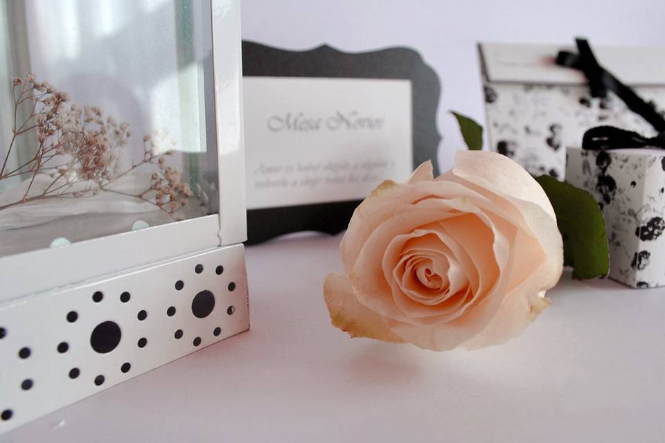 Alondra Invitaciones, Invitaciones