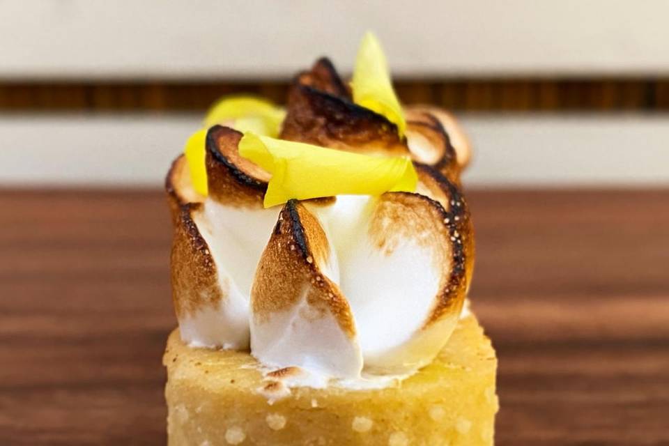 Ancestro, Tortas