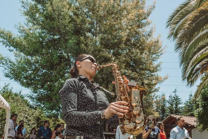 Andysax Chile - Saxofonista, Música