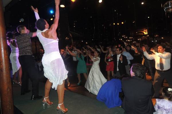 Animando Eventos, Animación