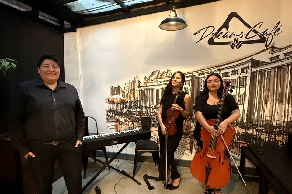 Armonía Trío, Música