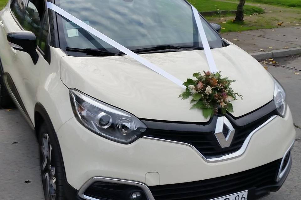 Auto de Lujo Giolito Sanhueza, Autos