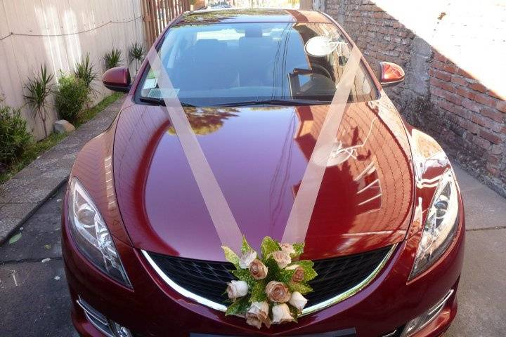 Auto Novios Mazda, Autos