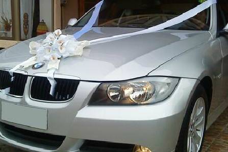 Autos para matrimonio