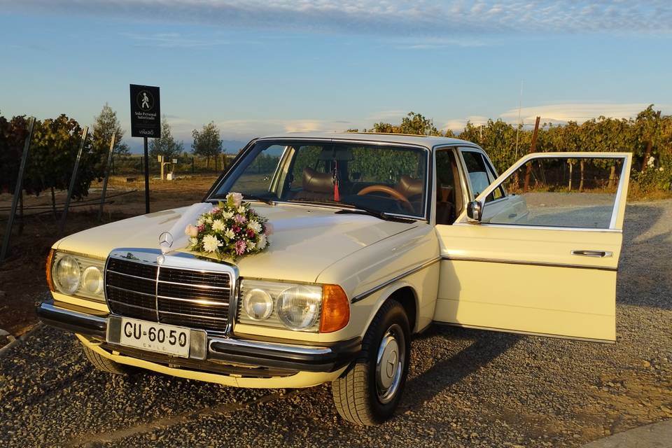 Autos para Matrimonios Talca