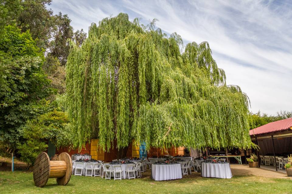 Ayres del Sauzal, Centros de Eventos