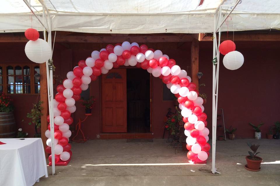 Balloon Twisted Decoraciones