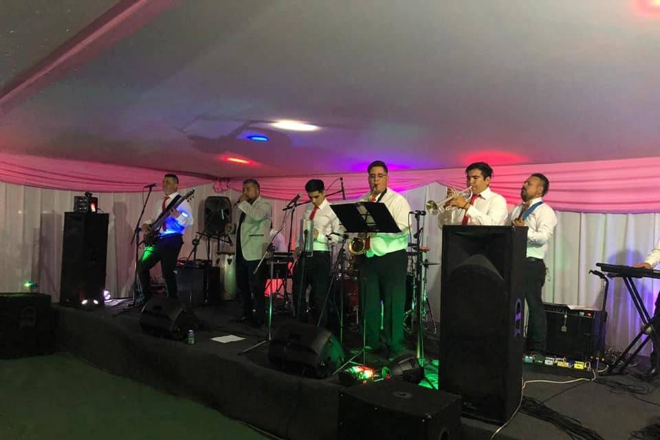 Banda Fusión, Música