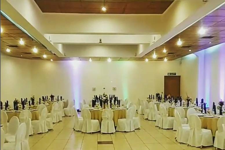 Barquito Producciones, Música