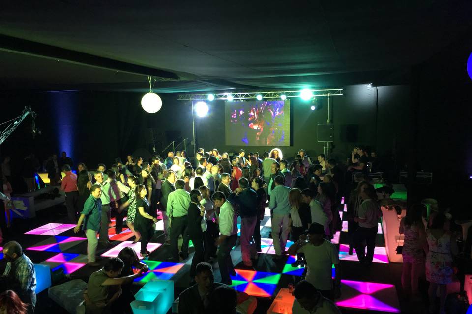 Beem Producciones, Música