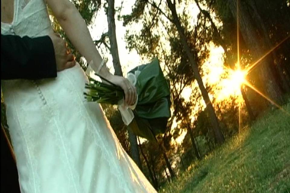 Bodas de Arte, Videógrafos