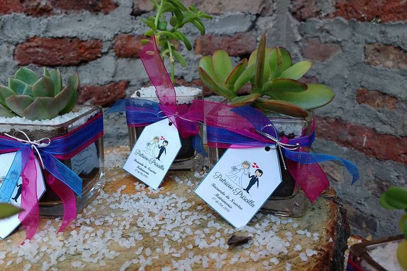 Cactuideas, Recuerdos