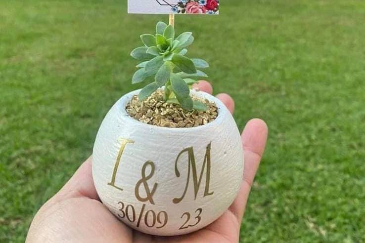 Cactus Suculenta Terrarios, Recuerdos