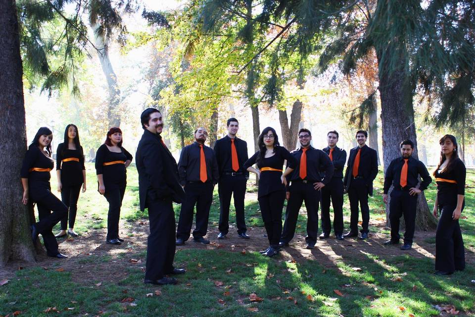 Camerata Vocal Ad Genua, Música