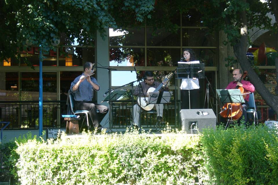 Carla Moraga Mezzsoprano, Música