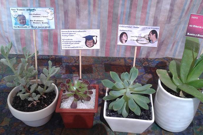 Casa del Cactus, Recuerdos