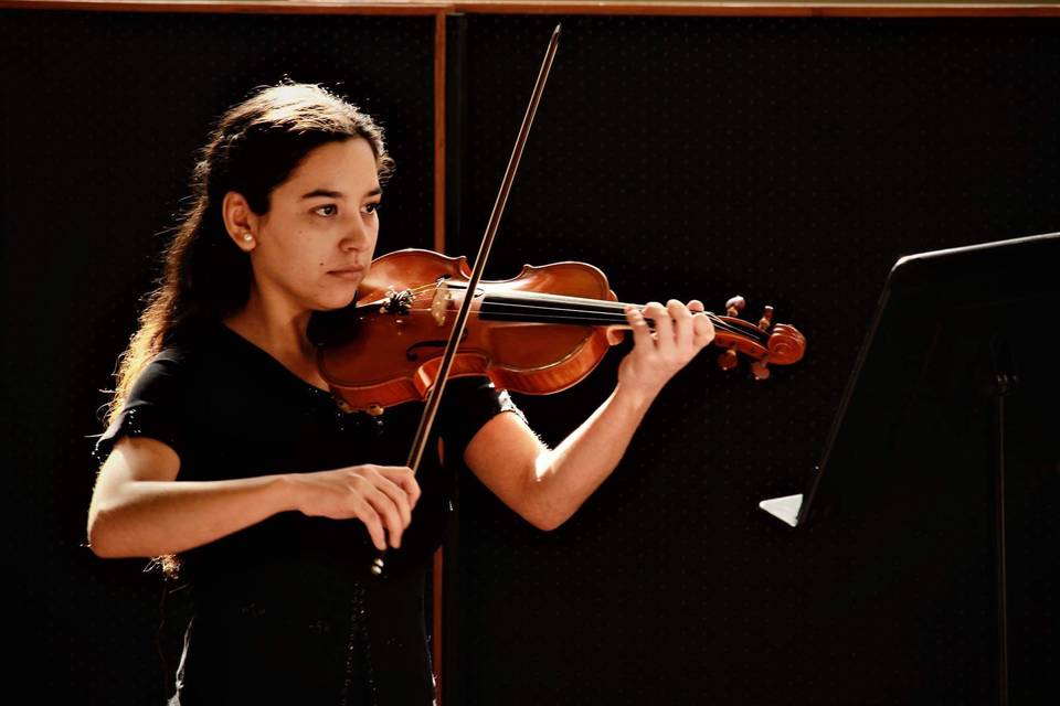 CiCi, Música