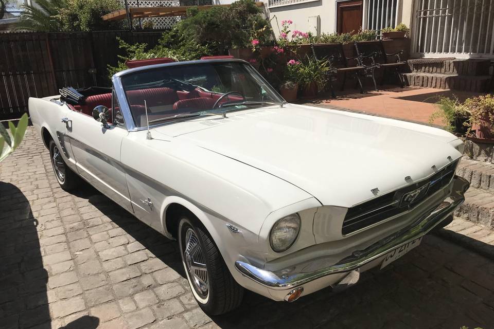 Classicrent, Autos