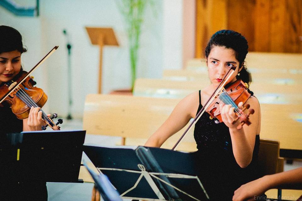 Cuarteto Crescendo, Música