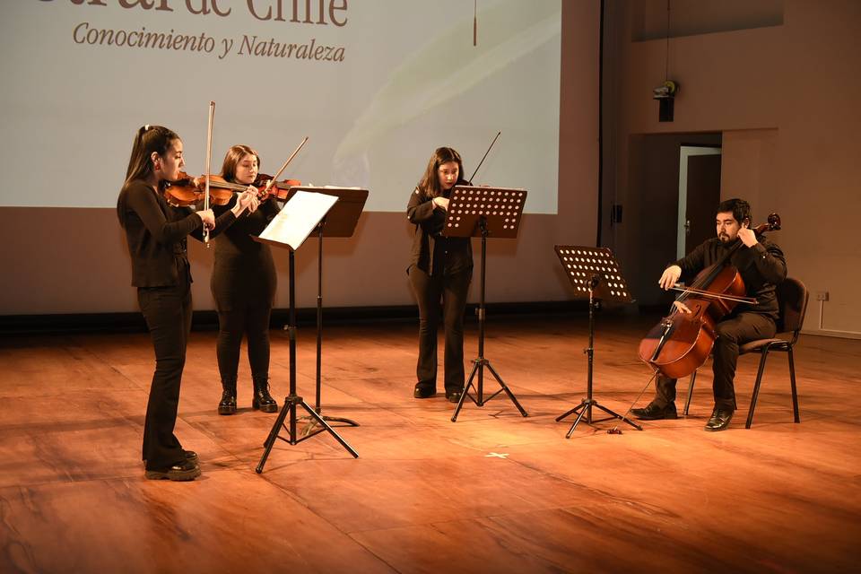 Cuarteto Fluvial, Música