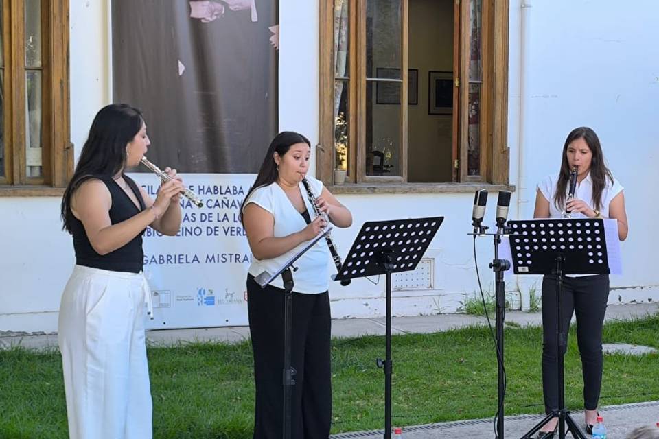 Cuarteto Malvilla, Música
