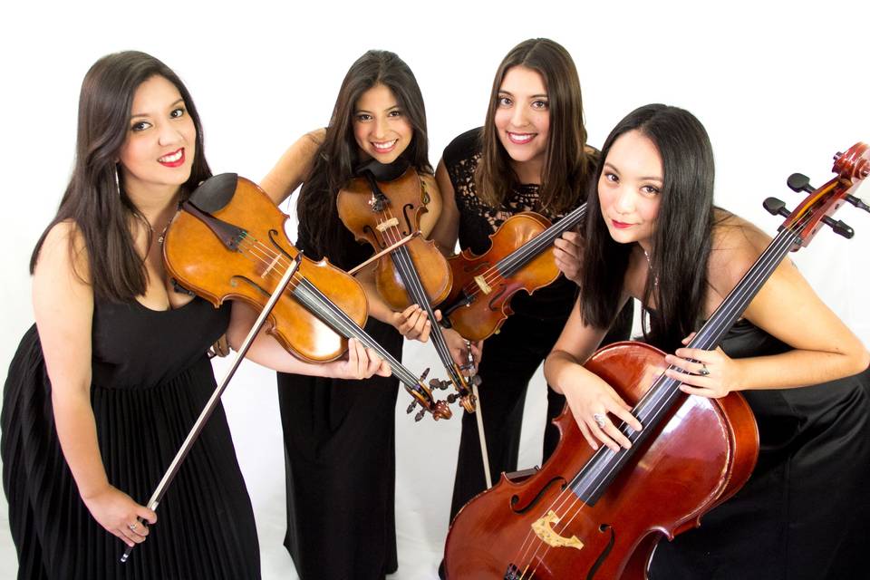 Cuarteto Meli Küyen, Música