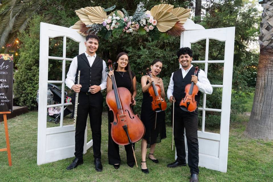Cuarteto Sweet, Música