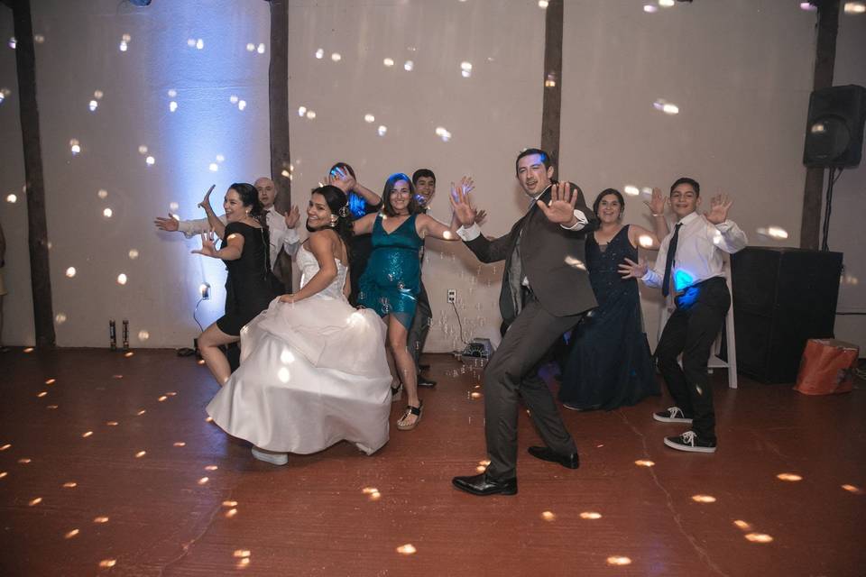 Dance Moments - Coreografía para novios, Animación