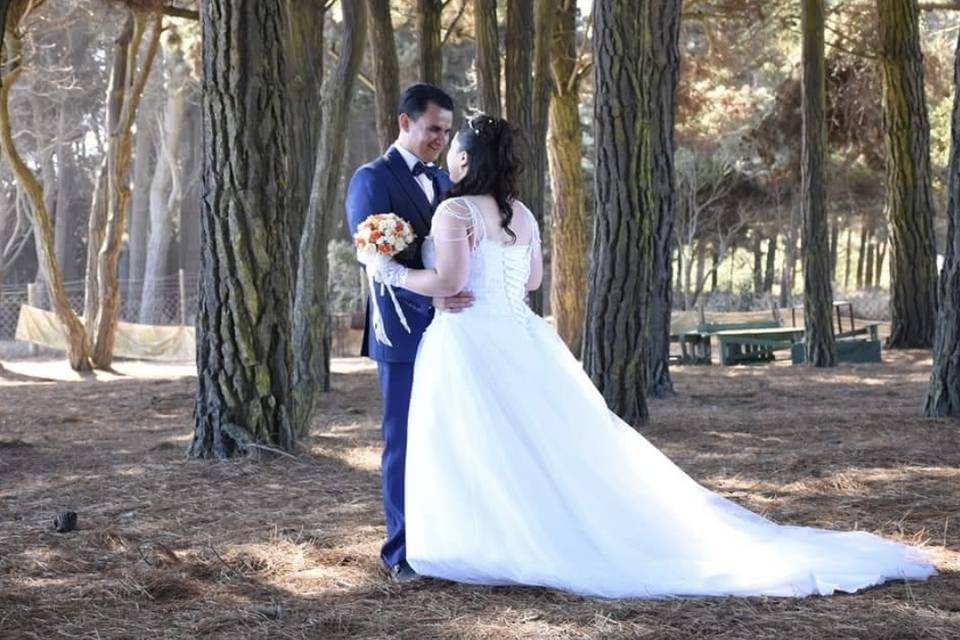 Dargío Emporio Novias, Tiendas de Novia