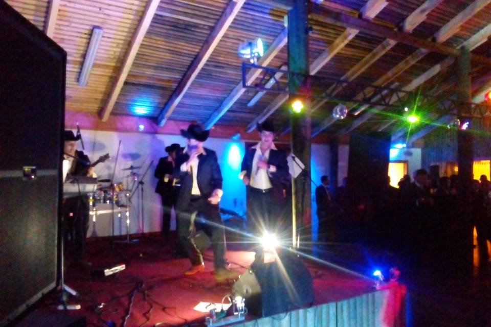 Decibel Producciones, Música