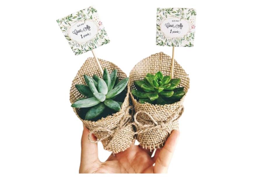 Deco Deptojardin, Recuerdos