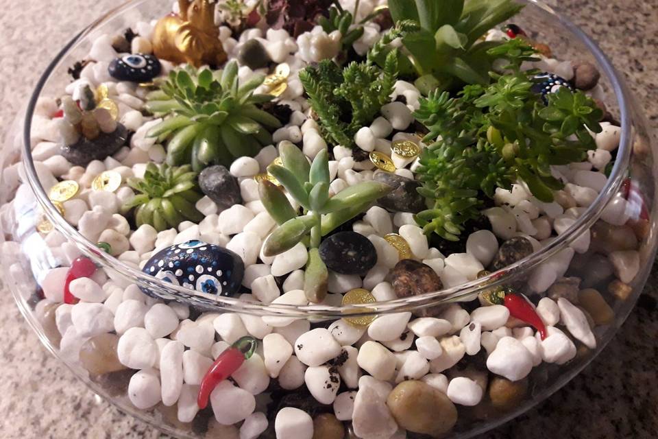 Decoterrarios, Recuerdos