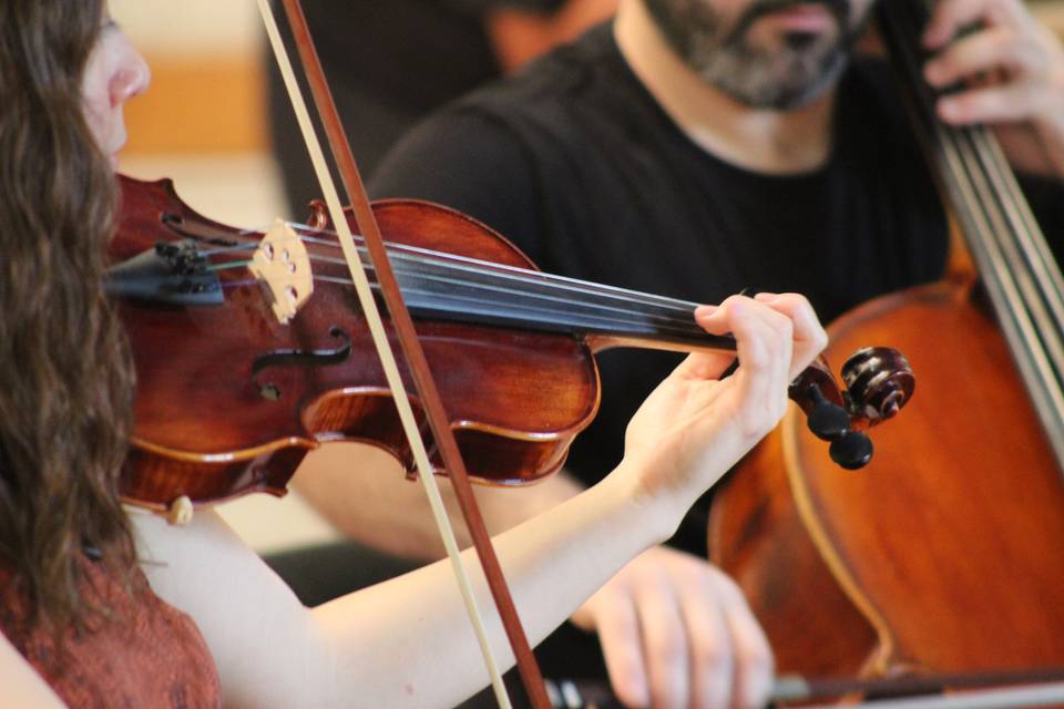 Desenlace, Música