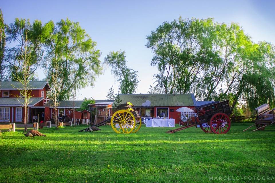 Doña Rita Granja Museo