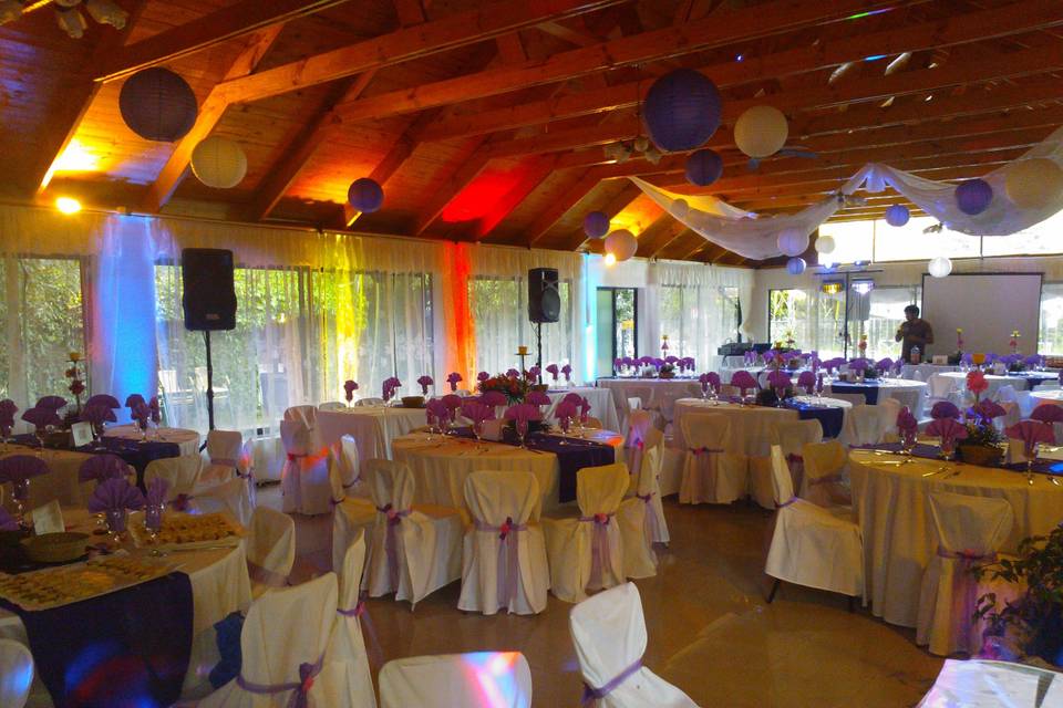 Dream Eventos, Animación