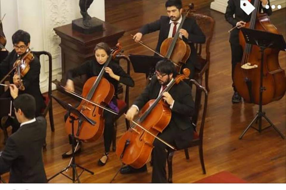 Due Celli, Música