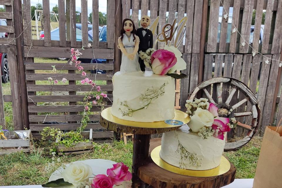 Dulce Girasol, Tortas