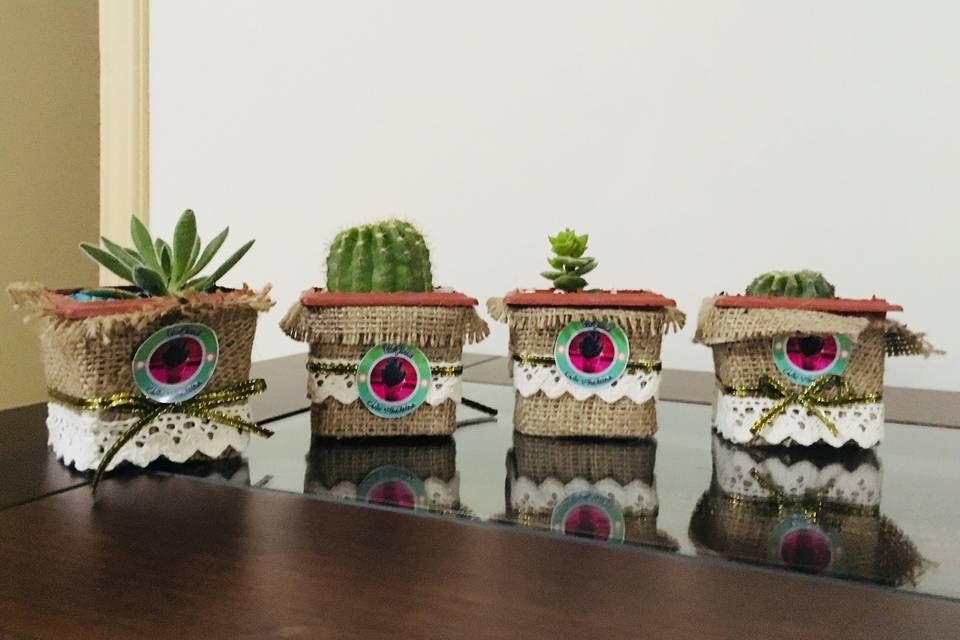 Ecogreen Mis Plantitas, Recuerdos
