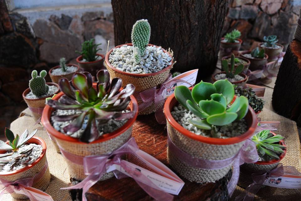 Ecovida Regalos, Recuerdos