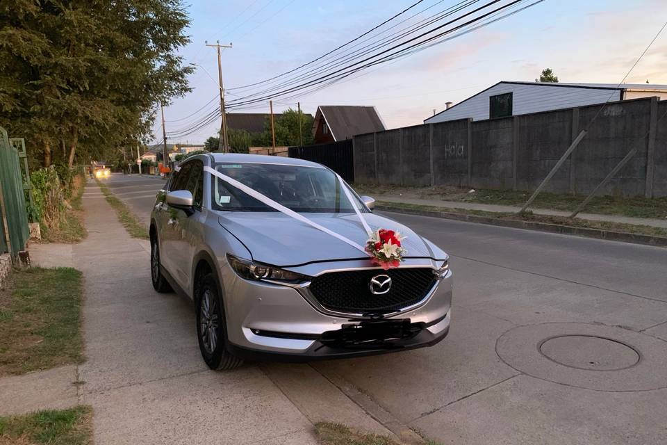 El Cupido Valdiviano, Autos