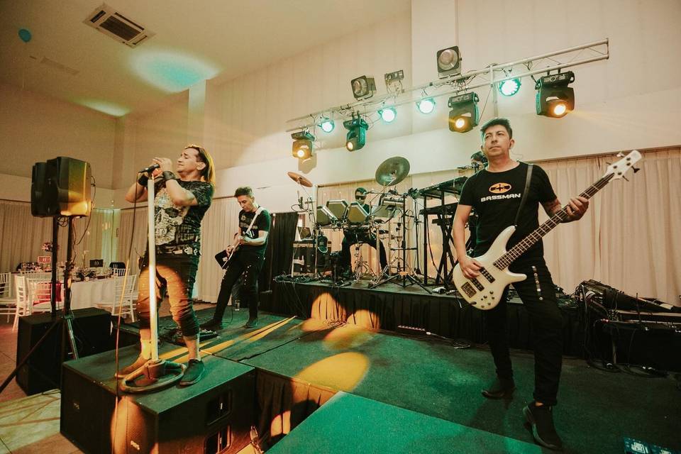 Element Music, Música