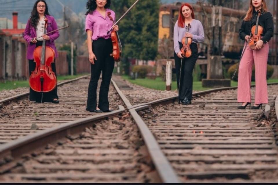 Ensamble Musas, Música
