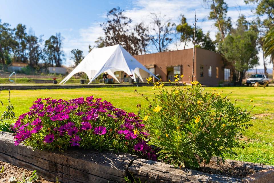 Espacio Estación, Centros de Eventos