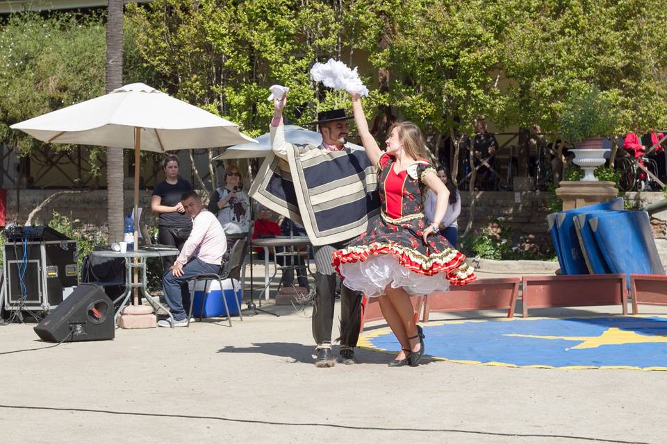 Eventos a la Chilena, Animación