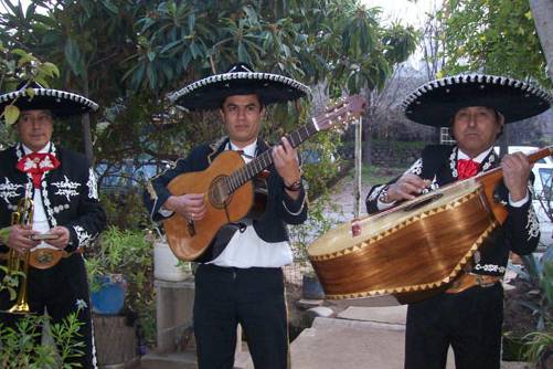 Eventos Feeling, Música